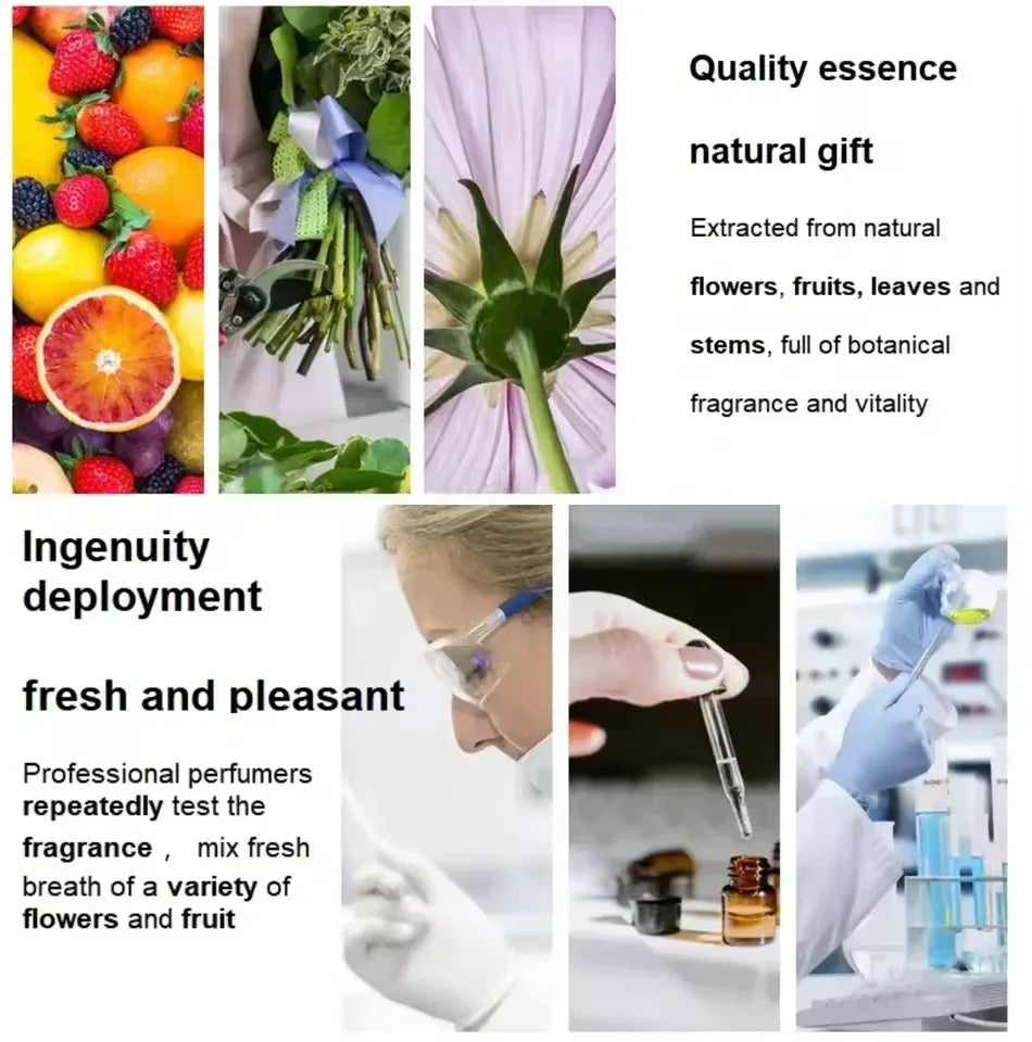 US Stock Wholesale in 3-5 Days High Quality Men Cologne Perfume Long Lasting Fragrance Woody100ml Body Spray with Receipt ...