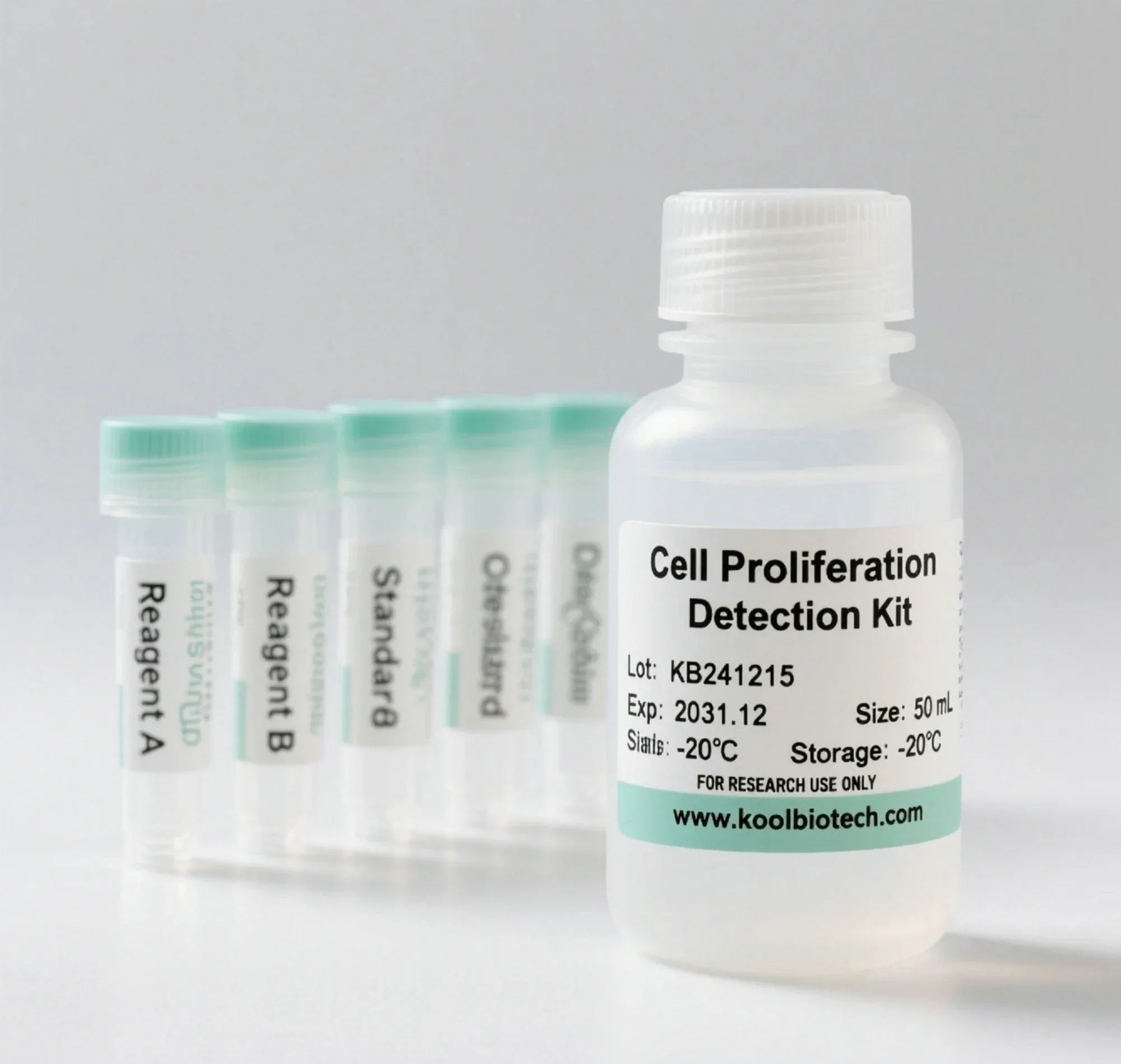 Click-iT EdU-488 Rapid Cell Proliferation Assay Kit - My Vixen Vault