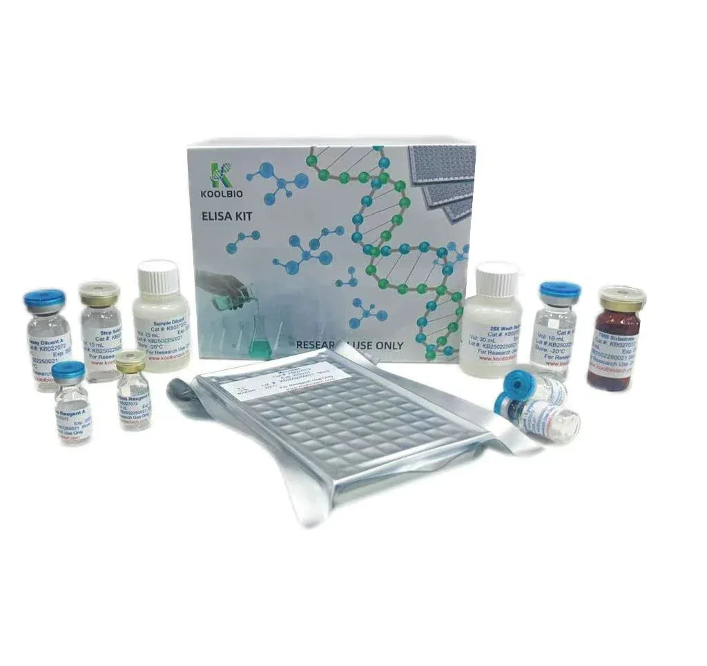 Click-iT EdU-488 Rapid Cell Proliferation Assay Kit - My Vixen Vault