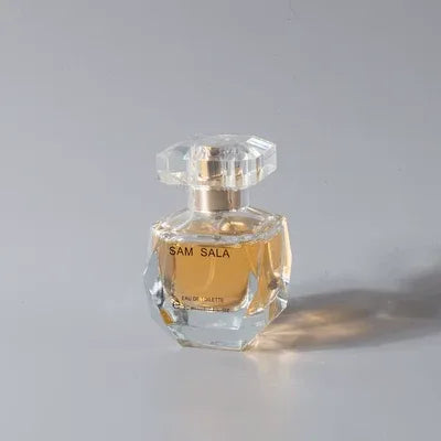 Model Room Men Women's Artificial Perfume Fragrance Props Big Brand Perfume Ornament Accessible Luxury Dressing Table Solution Decoration - My Vixen Vault