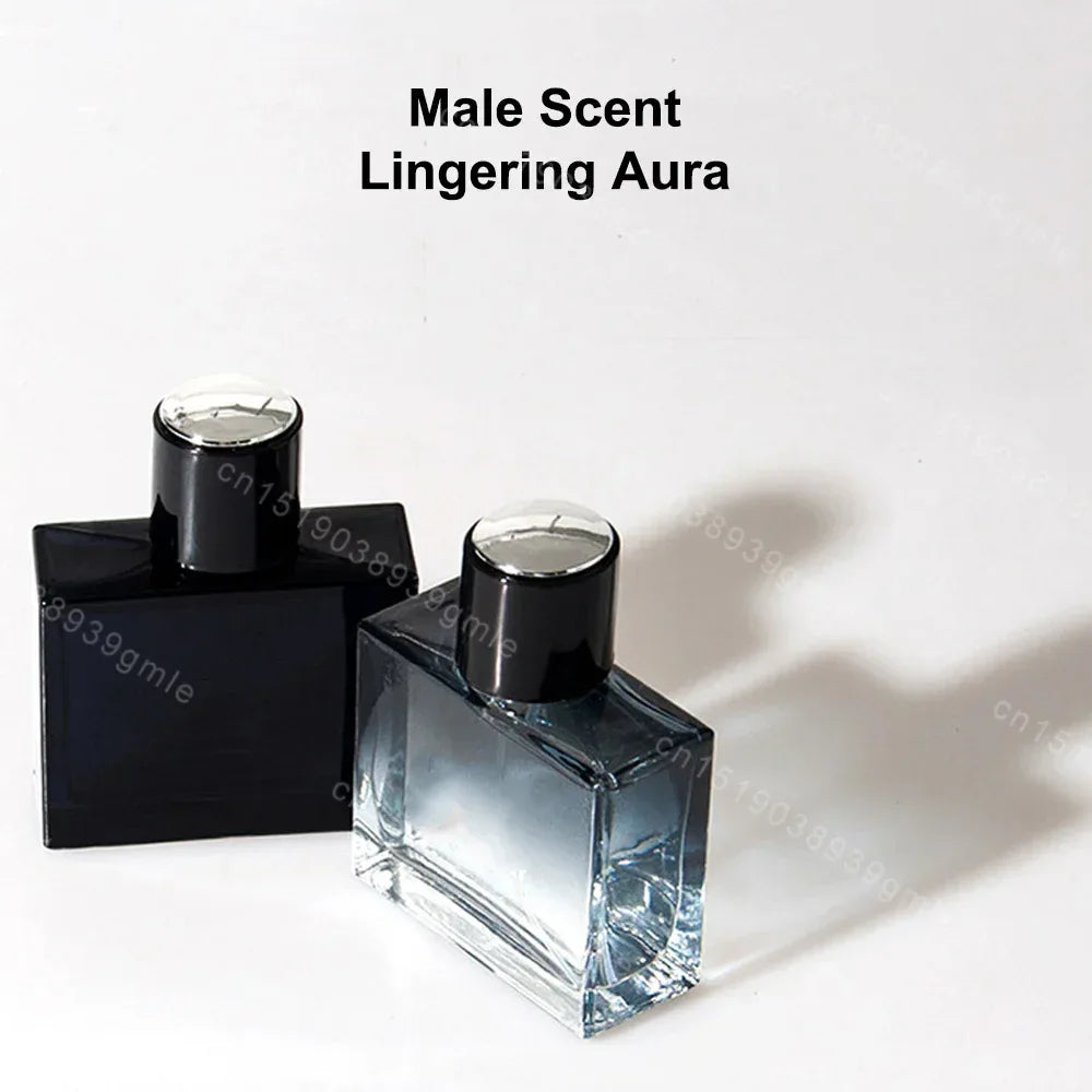 Original Brand Men Perfume Classic Cologne Eau De Perfum Fresh Fragrance Long Lasting Aroma Pheromone Parfums Homme Body Spray - My Vixen Vault