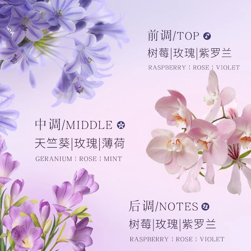 Splendide Encounter Purple Meets Eau De Parfum Light Fragrance Floral Vaporisateur Natural Spray 50ML Perfume - Beauty Collection Studio