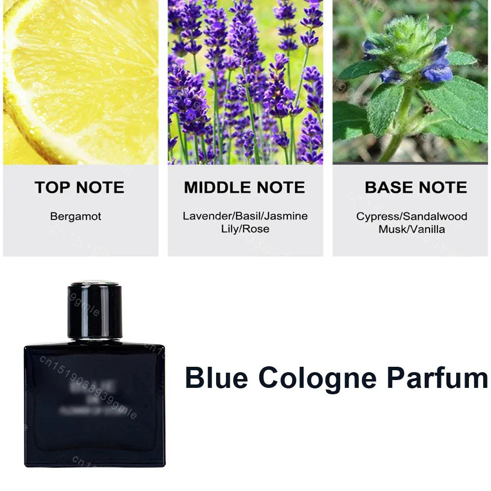 Original Brand Men Perfume Classic Cologne Eau De Perfum Fresh Fragrance Long Lasting Aroma Pheromone Parfums Homme Body Spray - My Vixen Vault