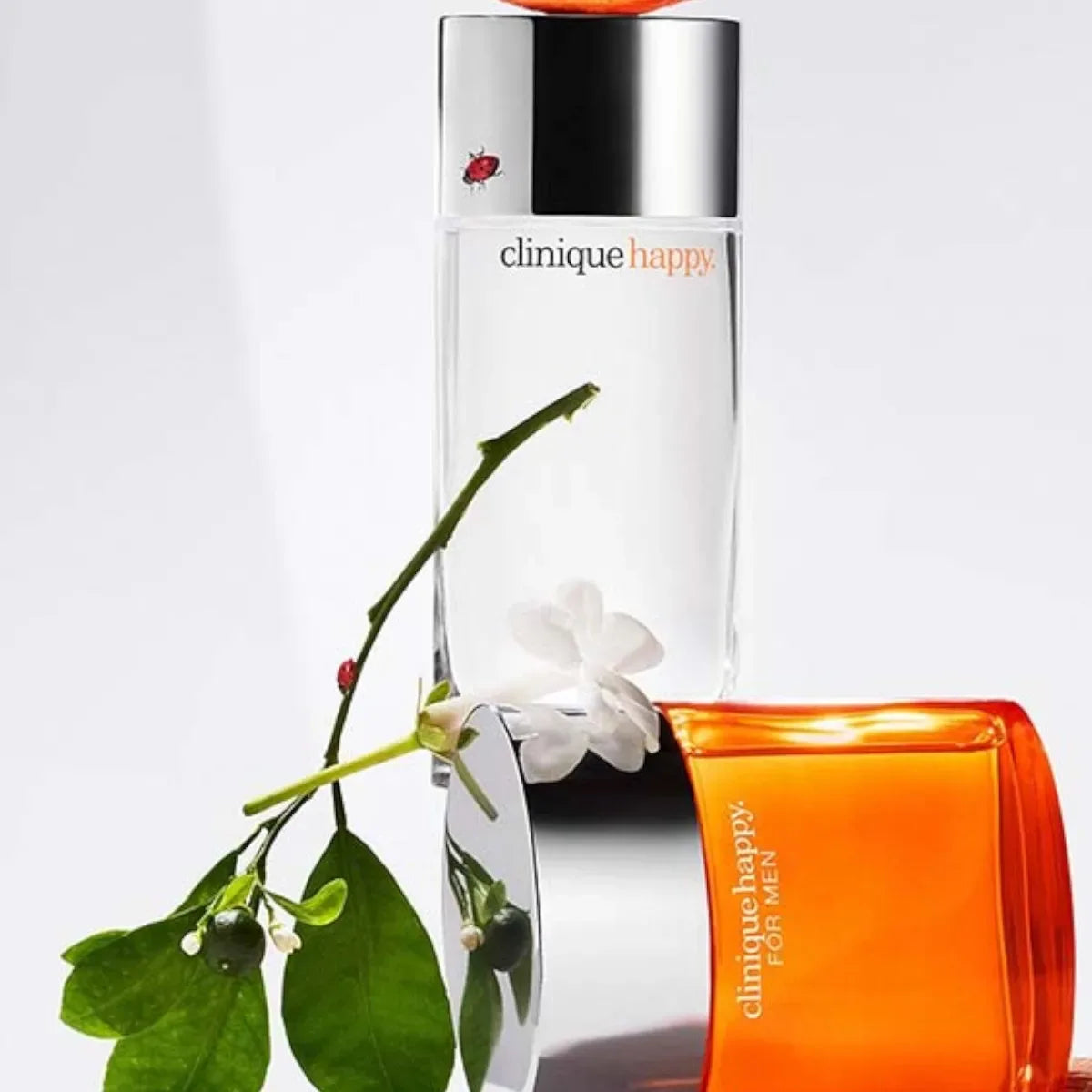 Eau De Parfum 100ml for women orange and mandarin base notes of amber and musk perfect for any occasion Free shipping - My Vixen Vault