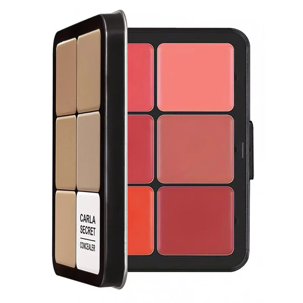 12-color iron box concealer blush cream matte highlight contour makeup all-in-one palette - My Vixen Vault