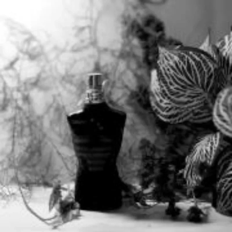 Jean Paul Gaultier Le Male Le Eau de Parfum Homme Spray 125mlFrance Original Perfumes Lasting Oriental Pheromone Cologne Perfume - My Vixen Vault