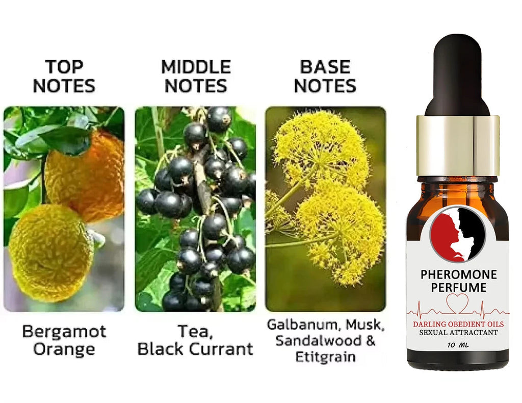 Pheromone Seductive Perfume Of Man To Attract Woman Charming Fragrance Women Flirting Dating Scent Long Lasting Body Spray Beauty Collection Studio