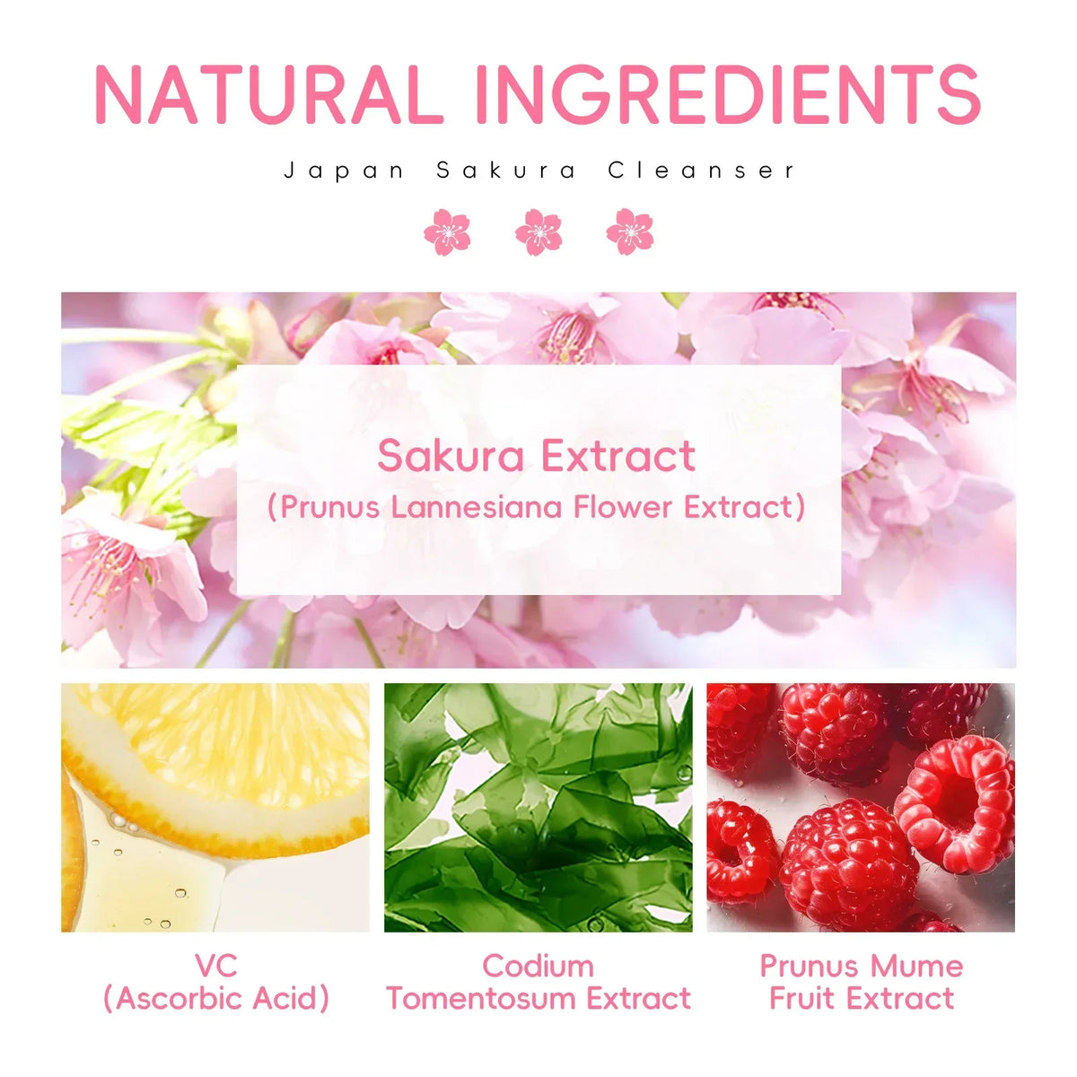 LAIKOU Sakura Cleanser Gentle Deep Cleaning Oil Control Moisturizing Shrink Pores Face Skin Care 50g Skin Cleanser All Skin Type - My Vixen Vault
