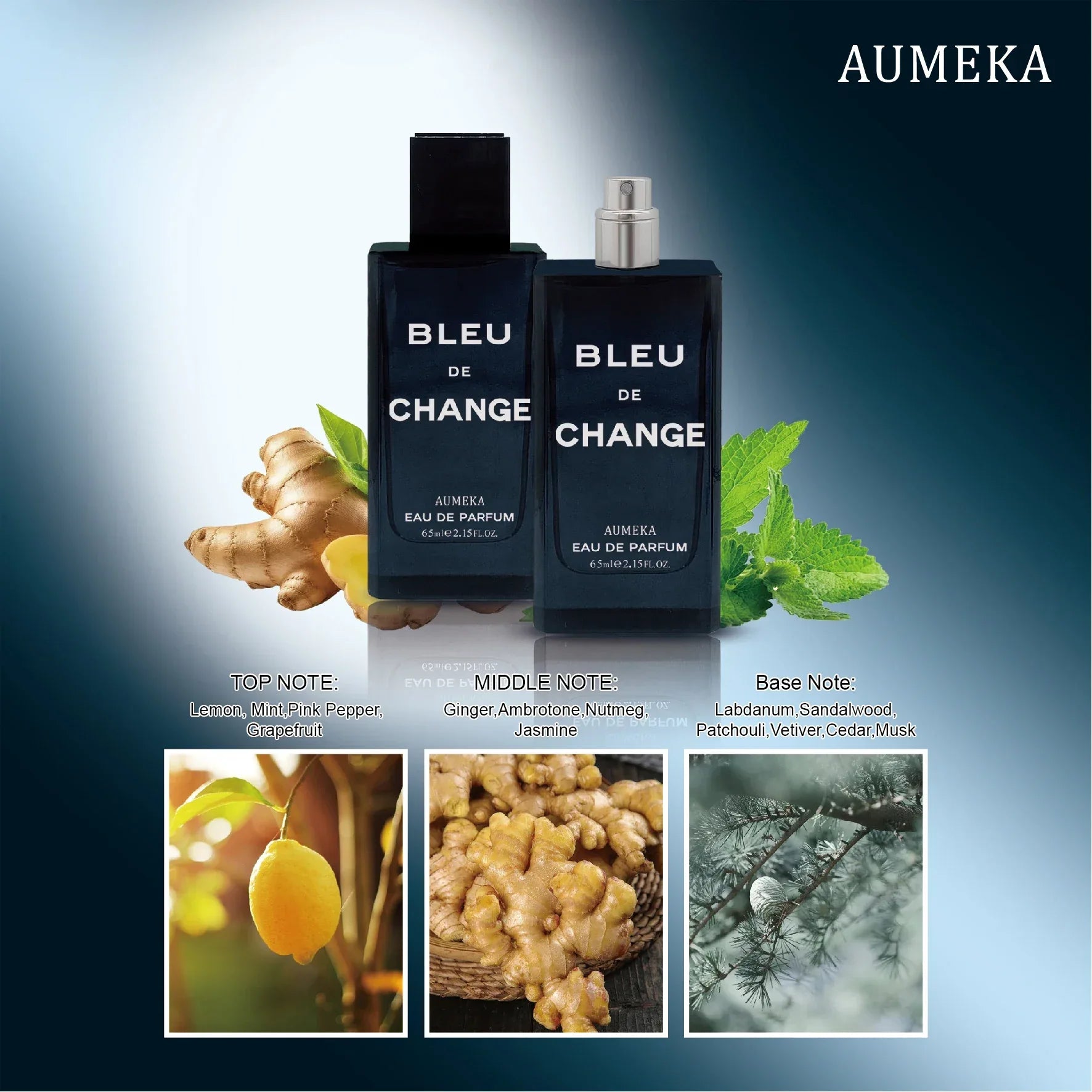 AUMEKA Perfume For Men Original Luxury Arabes Long Lasting Eau De Toilette Man Gift Makeup 65ml AU607 - My Vixen Vault